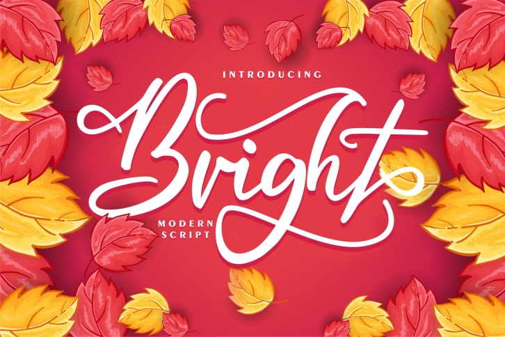 Bright | Modern Script Font Font Download