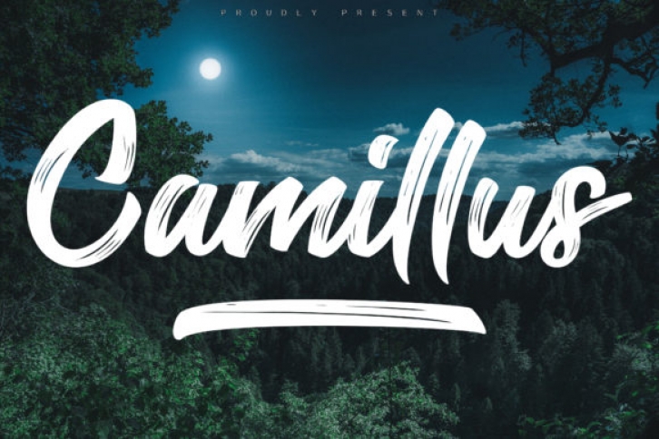 Camillus Font Download