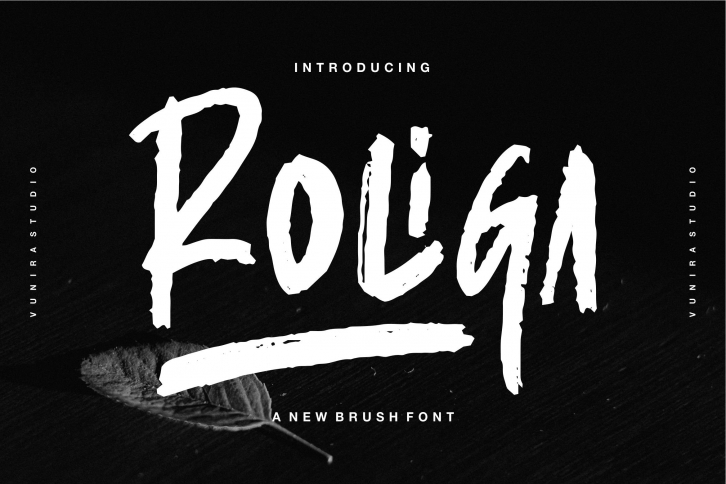 Roliga | A New Brush Font Font Download