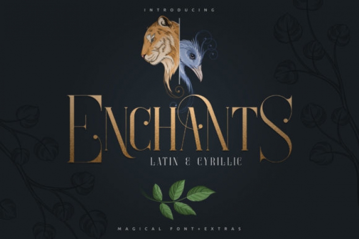 Enchants Font Download