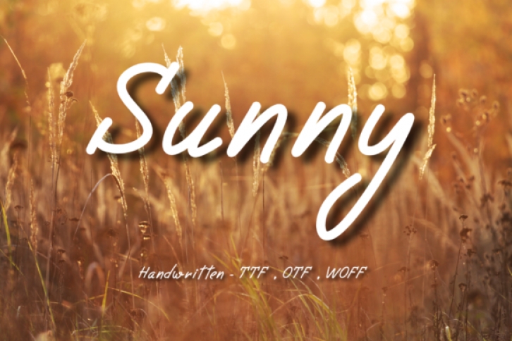 Sunny Font Download