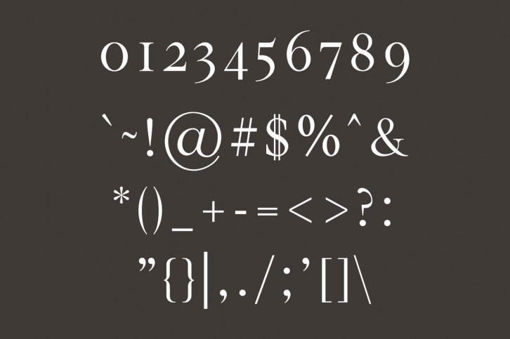 Hughe Serif Font Family Font Download