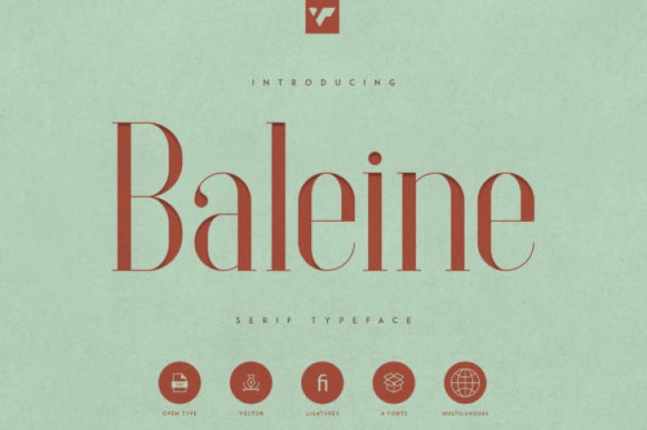 Baleine Font Download