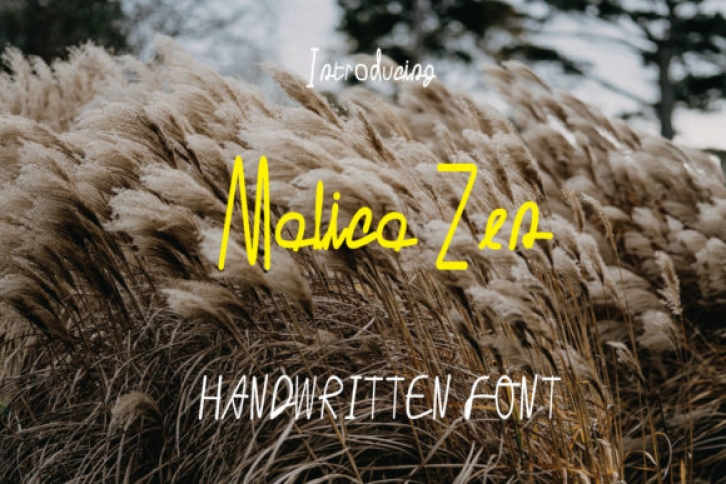 Malica Zen Font Download