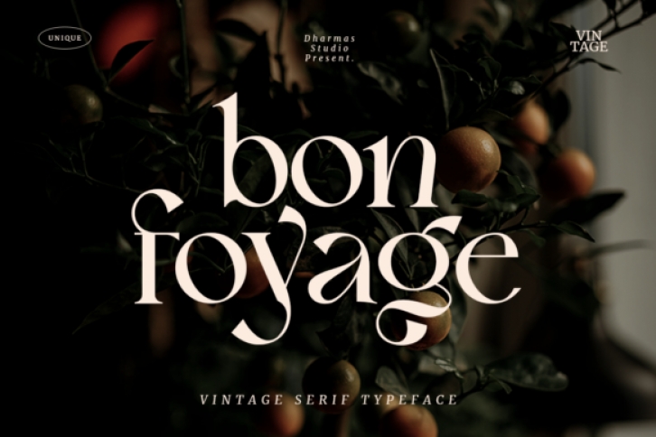 Bon Foyage Font Download