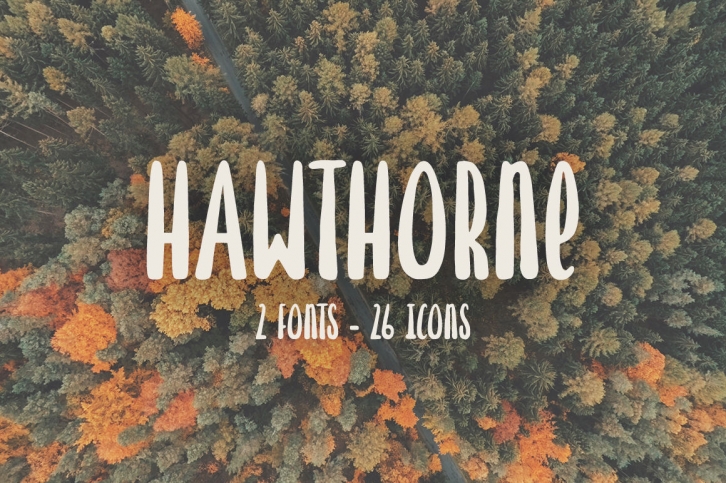 Hawthorne Hand Drawn Font Font Download
