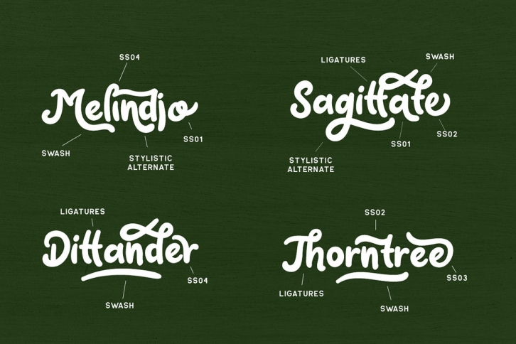 Claytonia Bold Script Font Download