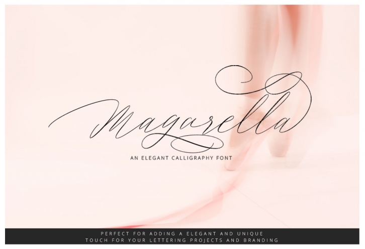 Fresh Products | Magarella Script Font Download