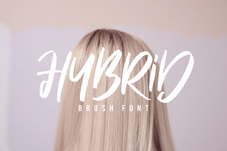 Hybrid Brush Font Font Download