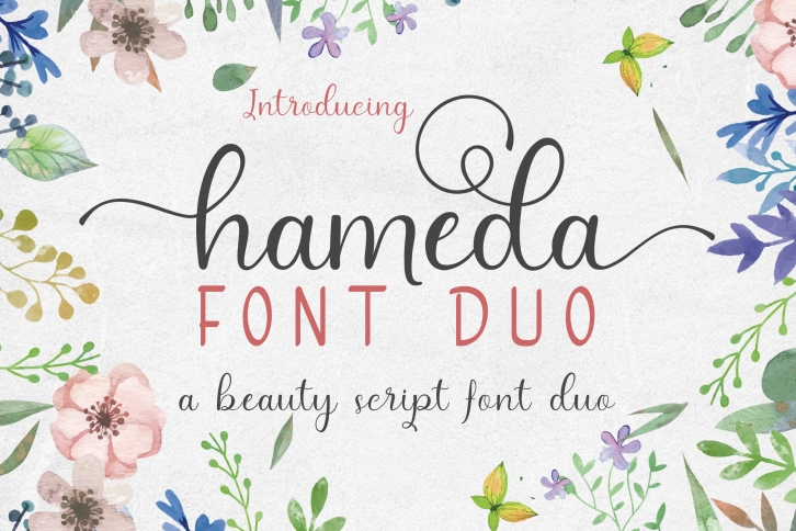 hameda script font duo Font Download