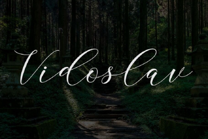 Vidoslav Font Download