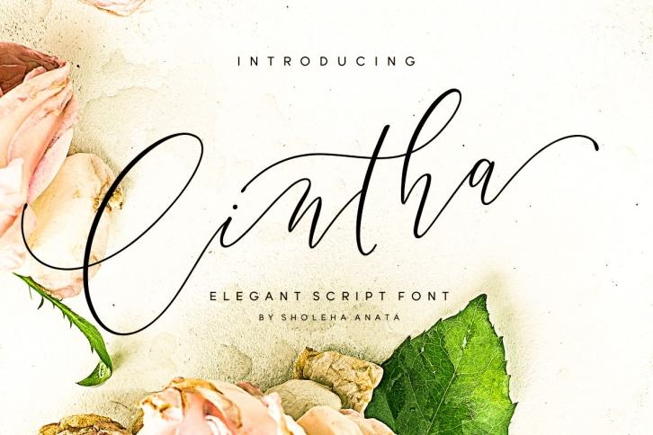 Cintha Elegant Font Font Download
