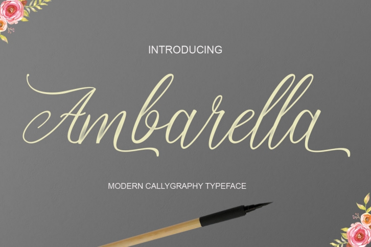 Ambarella Font Duo Font Download