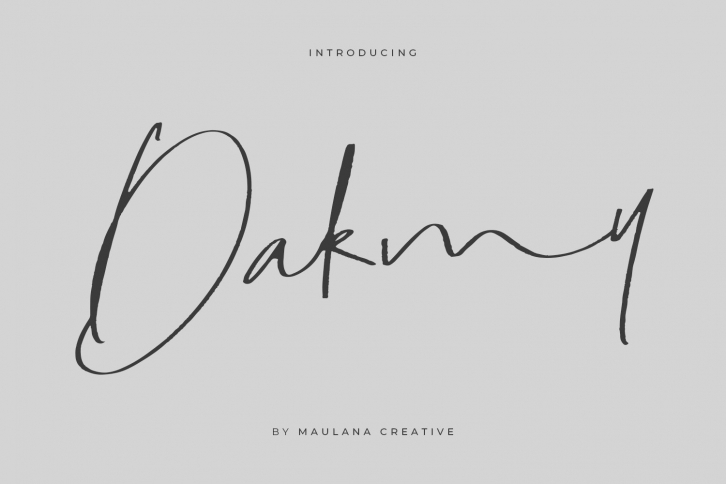 Dakmy Signature Brush Font Font Download