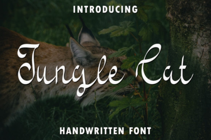 Jungle Cat Font Download