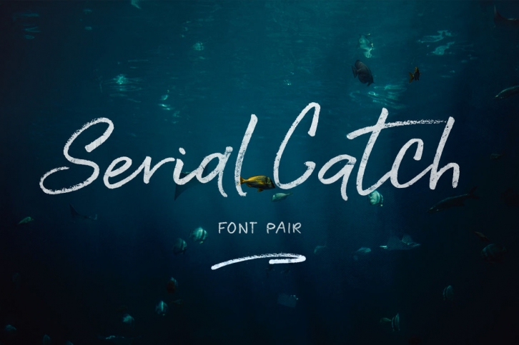 Serial Catch Script Font Duo Font Download