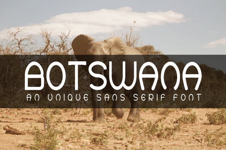 BOTSWANA An Unique Sans Serif Font Font Download