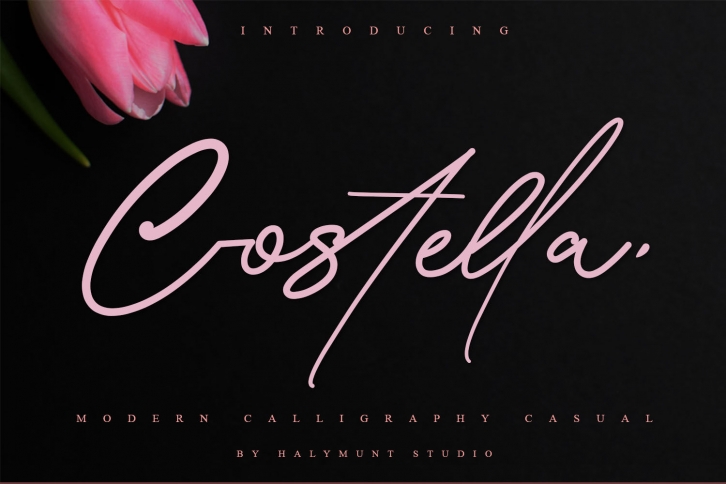 Costtella / Handwritten Font Download