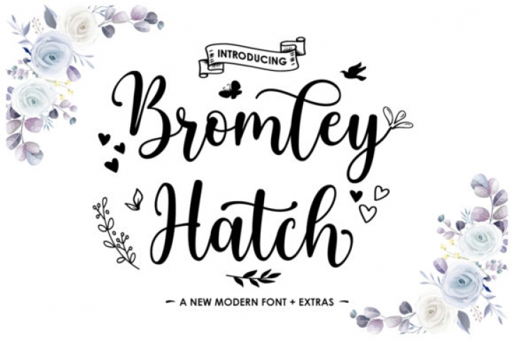 Bromley Hatch Script Font Download