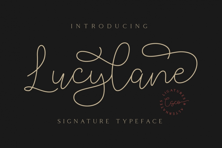 Lucylane - Signature Typeface Font Download