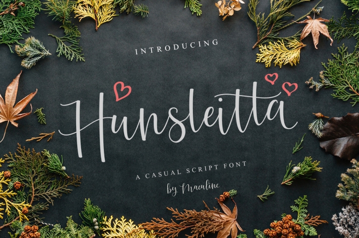 Hunsleitta Script Font Font Download