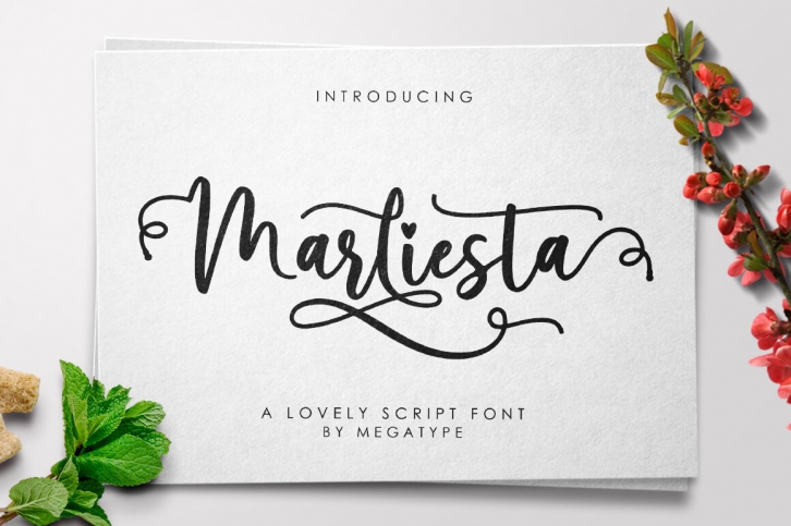 Marliesta Script Font Font Download