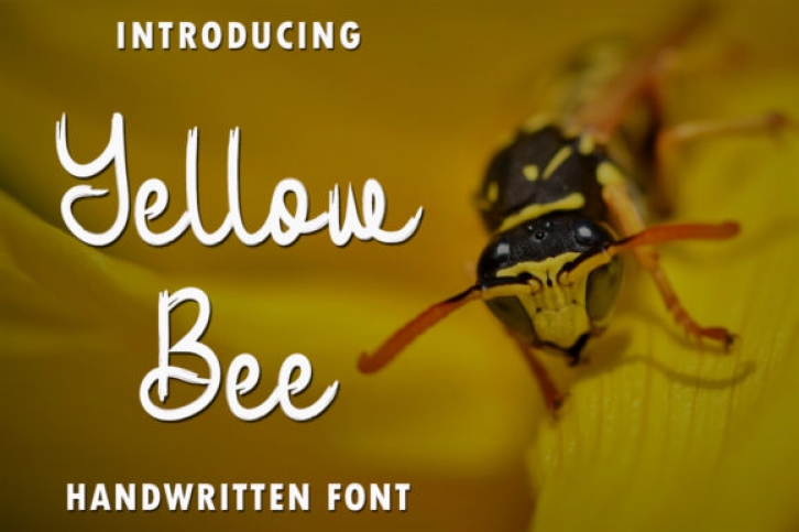 Yellow Bee Font Download
