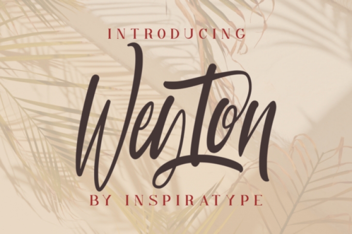 Weyton Font Download