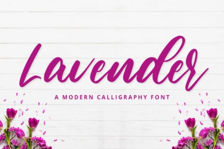 Lavender Font Download