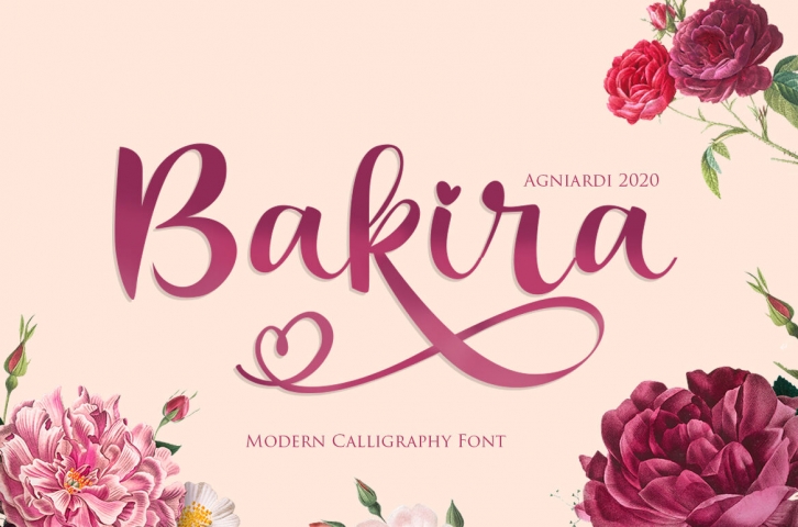 Bakira - Modern Calligraphy Font Font Download