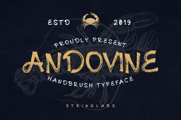 Andovine - Handbrush Typeface Font Download