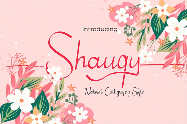 Shauqy Font Download