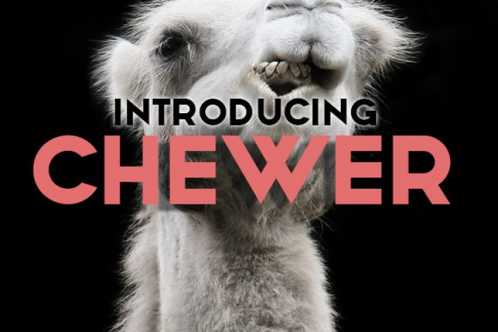 Chewer Font Download