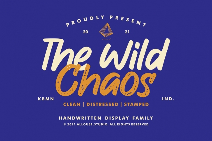 The Wild Chaos | Family Font Download