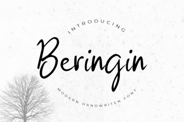 Beringin Font Download