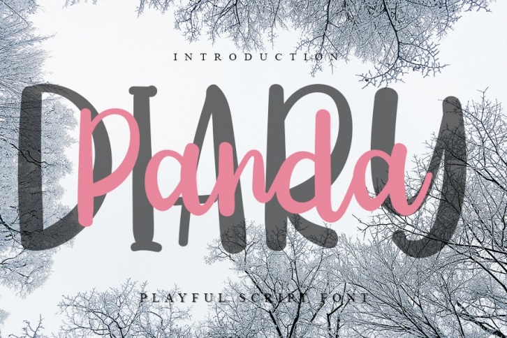 Diary Panda - Handwritten Font Font Download