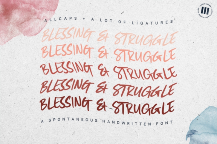 Blessing and Struggle Font Download