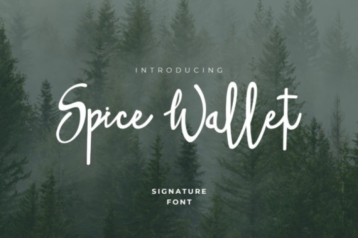 Spice Wallet Font Download