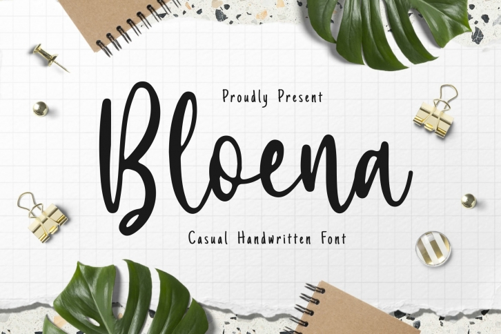 Bloena - Casual Handwritten Font Font Download