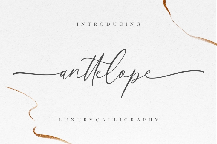 Anttelope Luxury Calligraphy Font Download