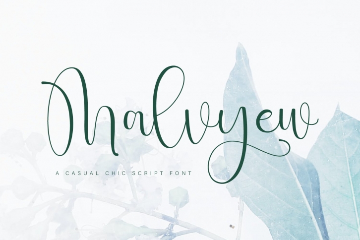 Malvyew Script Font Font Download