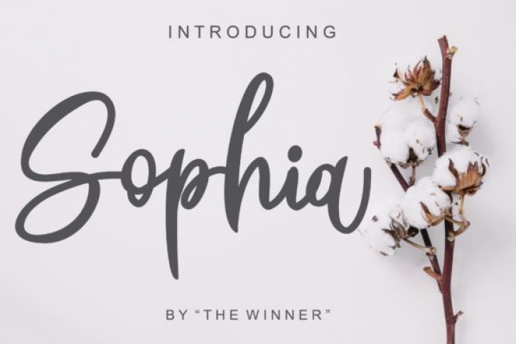 Sophia Font Download