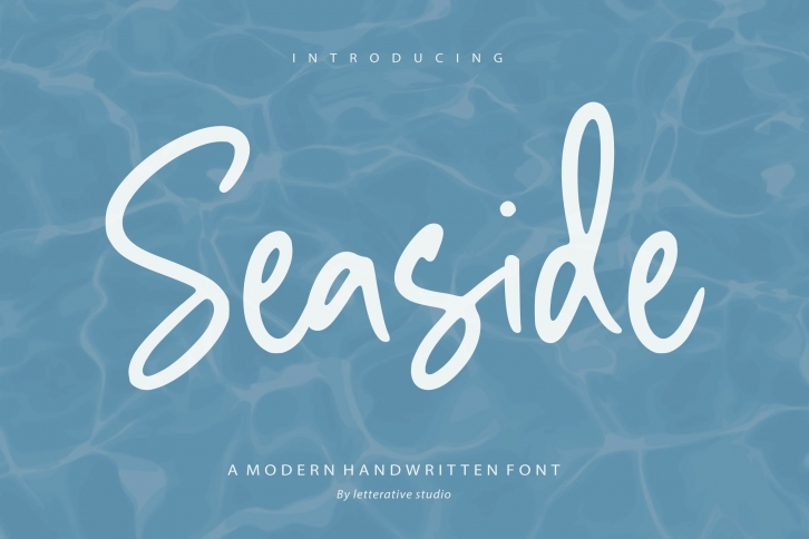 Seaside Modern Handwritten Font Font Download