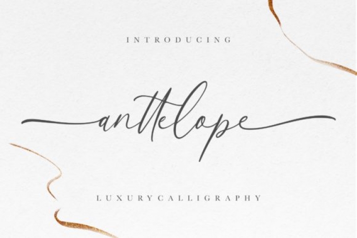 Anttelope Font Download