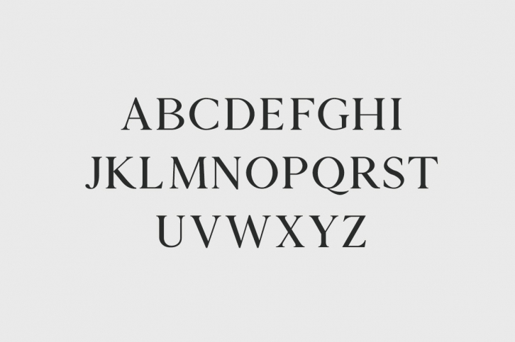 Zimra Serif Font Family Font Download