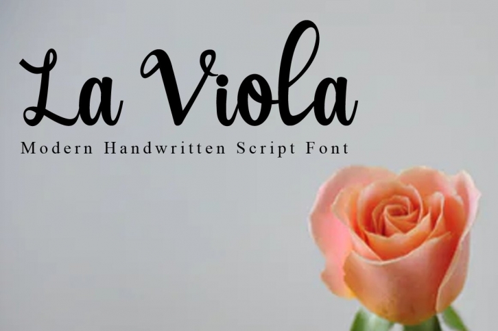 La Viola Modern Handwritten Script Font Font Download