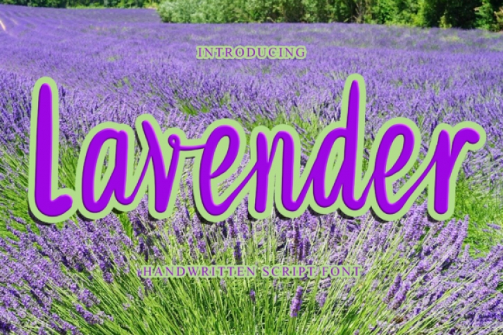 Lavender Font Download