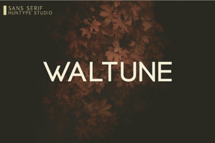 Waltune Font Download
