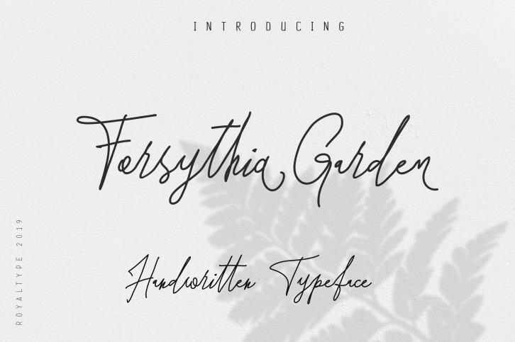Forsythia Garden |Signature Typeface Font Download