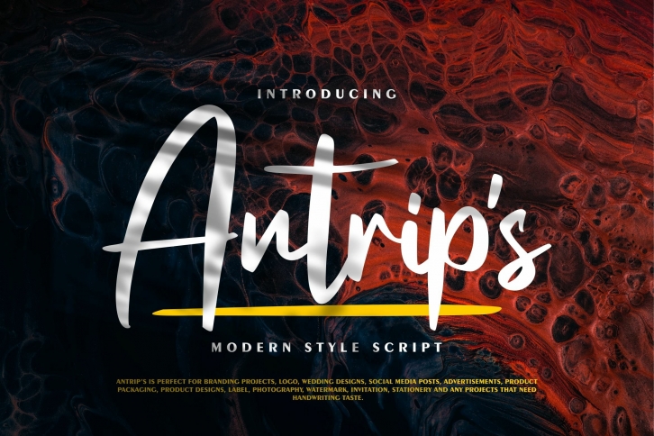Antrips | Modern Style Script Font Download